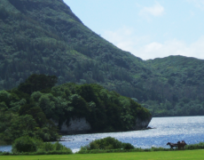 Killarney at the weekend