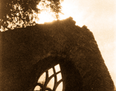 Muckross Abbey’s Secret Wedding